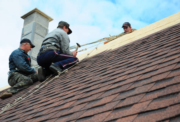 Professional Roofing Contractor in Glen Ellen, CA